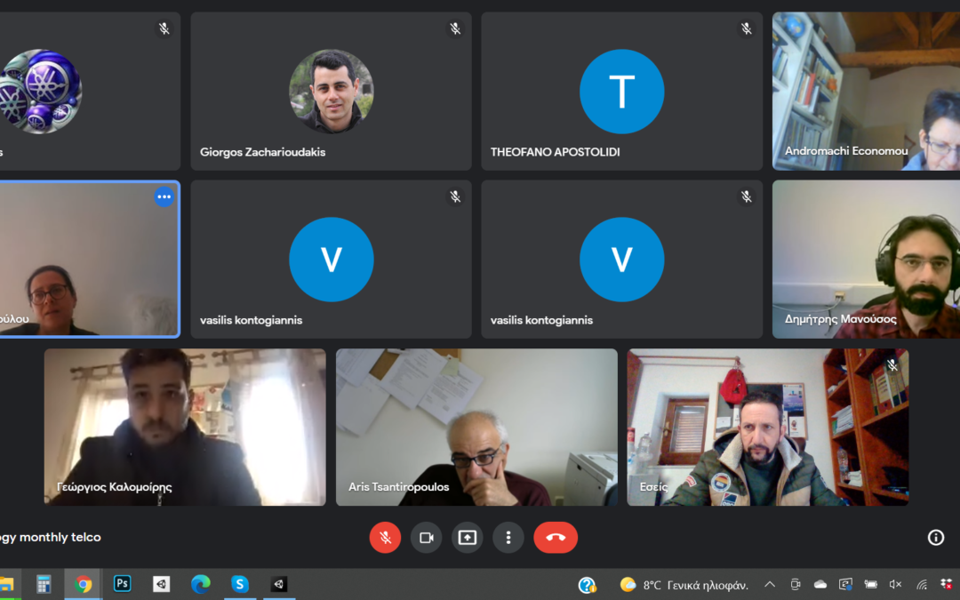 Τακτική μηνιαία τηλεδιάσκεψη εργασίας Μαρτίου